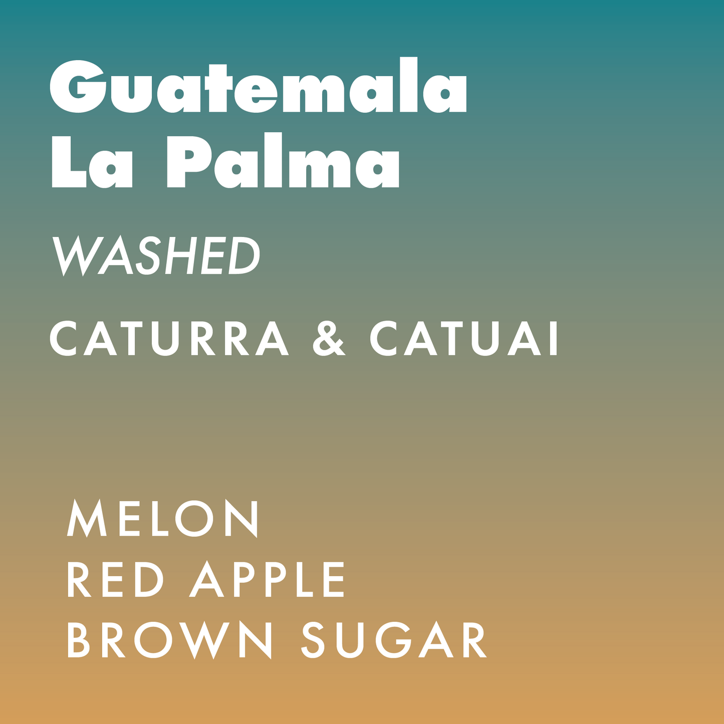 Guatemala La Palma