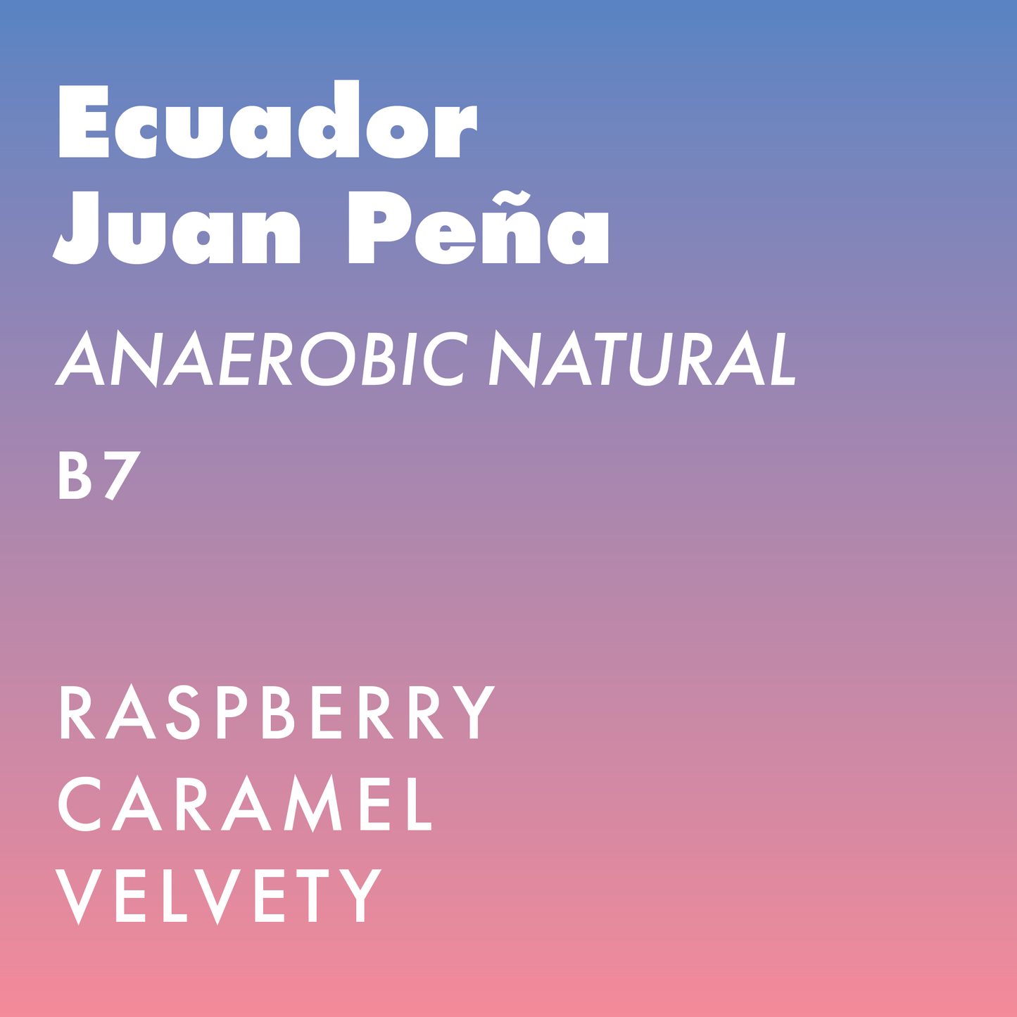 Ecuador Hacienda La Papaya - B7